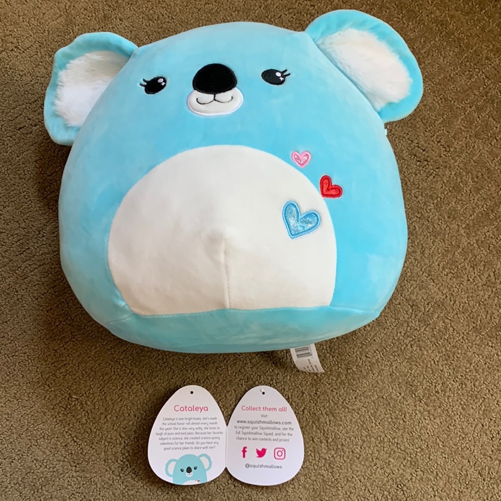Cataleya Koala Valentine Squishmallow